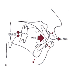 MFT